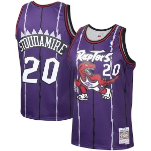 Superb Damon Stoudamire Toronto Raptors 1995/96 Hardwood Classics Swingman Jersey   Purple for passionate basketball fans